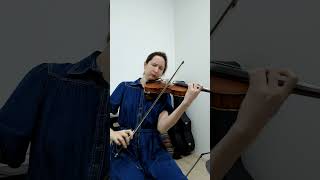 Tchaikovsky  Black Swan Swan Lake Violin Coverquot  Part 2 [upl. by Attenal22]