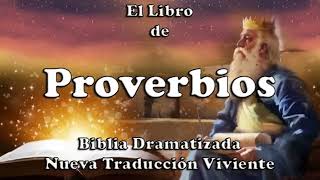 Libro de Proverbios  Narrado  AudioLibro [upl. by Ennaer]