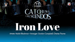 11 Iron Love Steelpan Cover  UWI Panoridim Steel Orchestra [upl. by Ahtis]