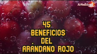 45 Beneficios del Arándano Rojo [upl. by Aseret]