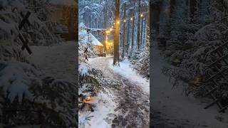 Waldweihnacht am Baumkronenweg in Kopfing in Oberösterreich weihnachten upperaustria advent [upl. by Ellehcyt]