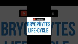 BRYOPHYTES LIFECYCLE [upl. by Norri342]