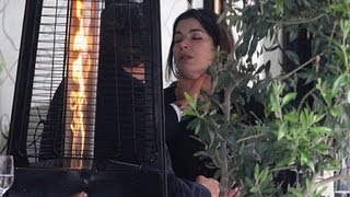 Fotos mostram Nigella Lawson sendo agredida em público pelo marido em Londres [upl. by Eloise]