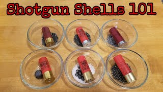 Shotgun Shells 101 [upl. by Haym415]