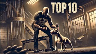 10 Essential Commands to Teach Your Dangerous Dog [upl. by Zetroc742]