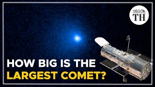 BernardinelliBernstein comet  The largest comet ever discovered  The Hindu [upl. by Gnanmas]