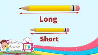 Long and Short  Comparing Lengths  Kindergarten Lessons  Math for Kids Episode 61 [upl. by Uliram]