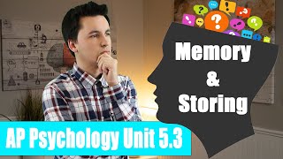 Types of Memories amp Storing Memories AP Psychology Unit 5 Topic 3 53 [upl. by Goody]