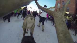 Running of the Reindeer [upl. by Balliol]