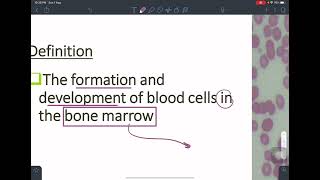 Hematopoiesis and Erythropoiesis [upl. by Hetti531]