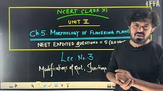 Modifications Of Roots  pneumatophores  functions of root  studentitheme neetug2024 biology [upl. by Addy]