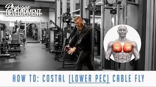 How to Cable Fly for Lower Chest High to Low [upl. by Conrad993]