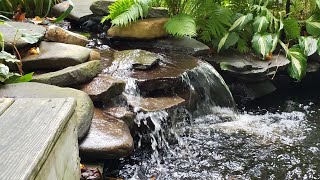 Koi Pond waterfalls basics [upl. by Yirinec]