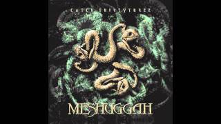 Meshuggah  In Death Is LifeDeath [upl. by Franz489]