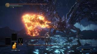 DarkSouls3 Midir Sellsword Twinblades dex build [upl. by Gail]