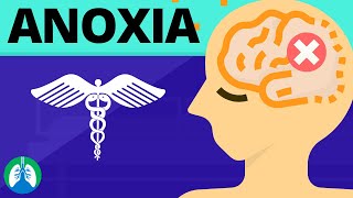 Anoxia Medical Definition  Quick Explainer Video [upl. by Shargel]