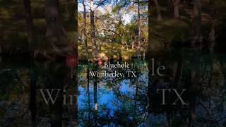 Bluehole Wimberley TX nature texas walkingtrails wimberley naturelovers [upl. by Henni]