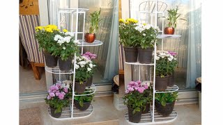 PLANT RACK UNBOXING KULITAN [upl. by Furr]