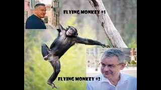 Who’s got more flying monkeys Sam Vaknin or Richard Grannon [upl. by Howey]