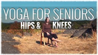 Yoga for Seniors with Michelle Rubin Hips amp Knees [upl. by Gilda]