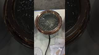 Using a compact ultrasonic cleaner D1800BR to clean a Rolex Oyster Perpetual watch [upl. by Ardie]