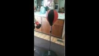 Childrens Pro Freestanding Reflex Punching Bag  use by son [upl. by Attelahs]