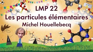 LMP 21  LES PARTICULES ELEMENTAIRES Michel Houellebecq [upl. by Ballinger]