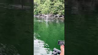 Orcas swim past father and son fishing in Canada [upl. by Haimarej]