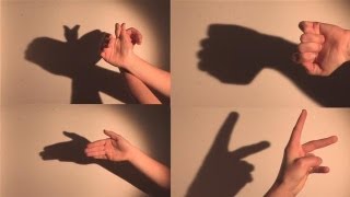 How To Make Shadow Puppets With Your Hand [upl. by Pagas184]