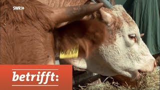 Unser Fleisch  Bio oder Masse  SWR betrifft [upl. by Harneen]