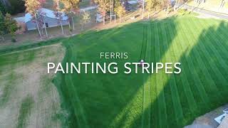 2nd Mowing Tall Fescue 11317 Enjoy the mow How to stripe a tall fescue lawn [upl. by Leban]