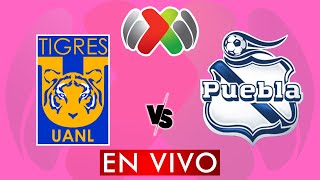 TIGRES VS PUEBLA EN VIVO  LIGA MX APERTURA 2024  JORNADA 11  DONDE VER EN VIVO [upl. by Fredek468]