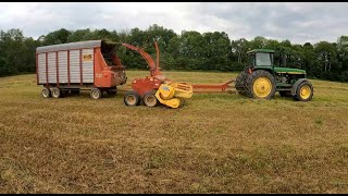 Chopping Alfalfa Haylage [upl. by Anaitsirk]