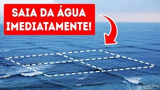 Se Você Entrar Num Mar com Ondas Quadradas Sua Vida Correrá Perigo [upl. by Dutchman]