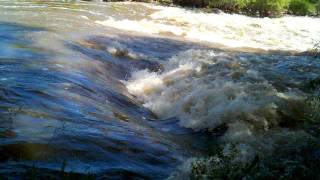 Hydraulic jump on the Cache la Poudre River [upl. by Omlesna910]