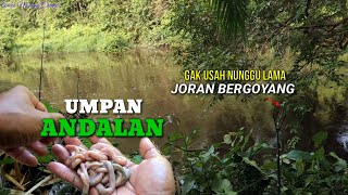 Cara Memilih Dan Memasang Umpan Usus Ayam Biar Dapat Baung Babon [upl. by Shue]