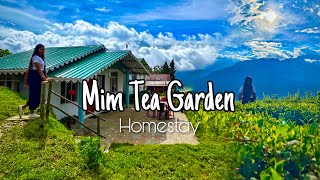 Hill View Homestay Mim Tea Garden  Budget Homestay in Mim Garden  Mim Tea Garden Vlog 2023 [upl. by Maddox]