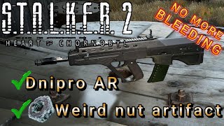 Named assault rifle amp Weird nut LEGENDARY ARTIFACT STALKER 2 [upl. by Suiratnauq618]