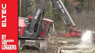 Eltec Feller Buncher 317 [upl. by Yatnoj767]