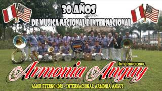 FALSAS PROMESAS DR  INTERNACIONAL ARMONÍA ANGUY [upl. by Ryder]