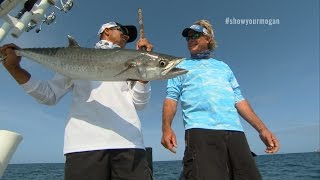 Offshore Trolling King Mackerel Fishing in St Pete Florida [upl. by Eiramanin]