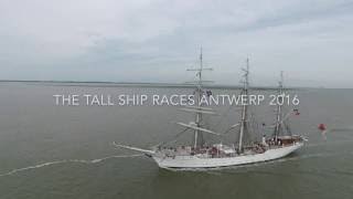 The Tall Ships Races Antwerp 2016 [upl. by Einot]