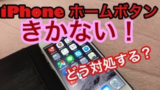 iPhoneホームボタンが効かない時反応が悪い時の対処法 [upl. by Airel]