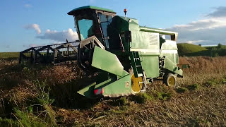 La treierat rapitaThreshing rapeseed John Deere 1055 [upl. by Arakaj]