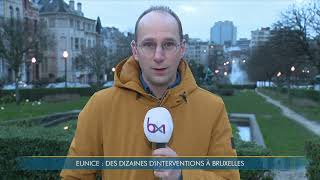 Arbres déracinés voitures écrasées La tempête Eunice fait des dégâts à Bruxelles [upl. by Basir]