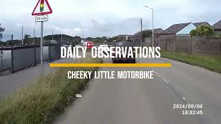 Daily Observations  Cheeky Little Motorbike [upl. by Anaj]