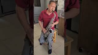 Sax Alto Hoyden Niquelado Com Boquilha Extra [upl. by Aipotu]