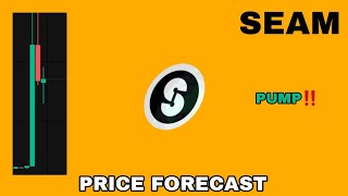 SEAM COIN PUMP POTENTIAL IN 2024‼️ SEAMLESS PRICE FORECAST‼️ SEAM CRYPTO IS HAPPENING NOW [upl. by Worl]