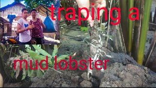 Trapping a manlamud lobster [upl. by Nester601]