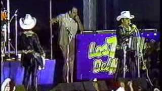 Los Tigres Del Norte  Camisa Mojada En Vivo 1988wmv [upl. by Nedloh]